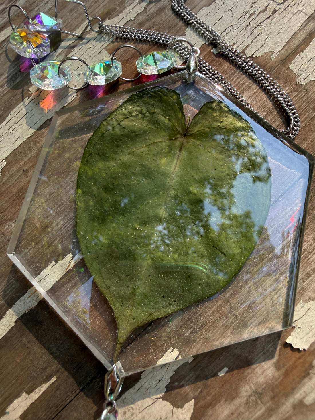 Leaf Suncatcher - Holo A. Yellow Spider x Dressleri