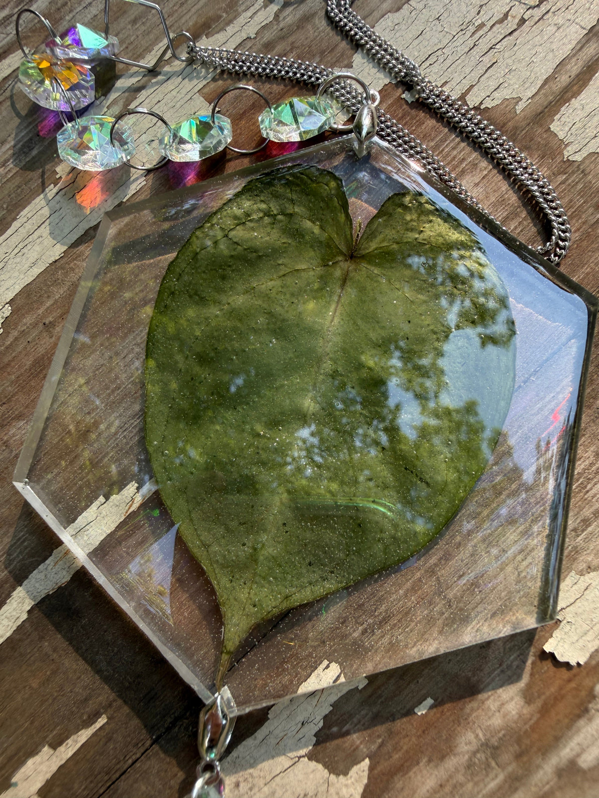 Leaf Suncatcher - Holo A. Yellow Spider x Dressleri