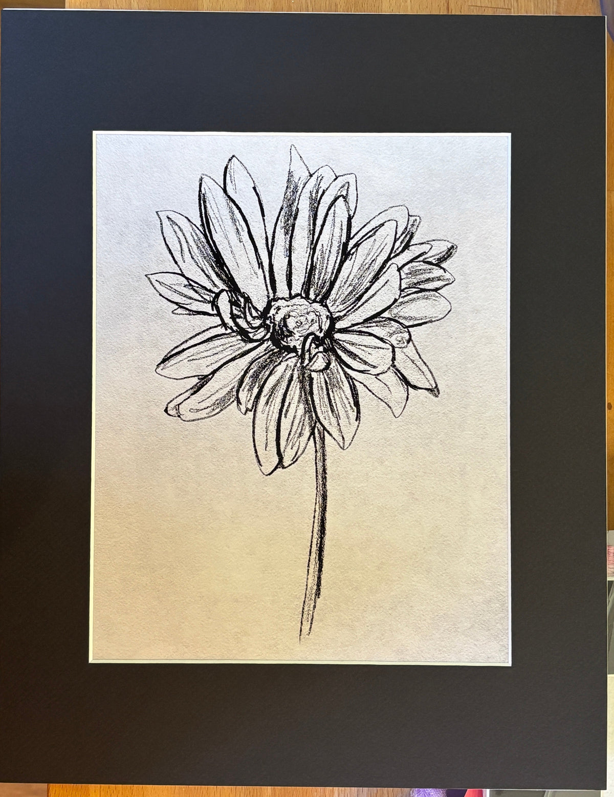 Art and Photographic Prints