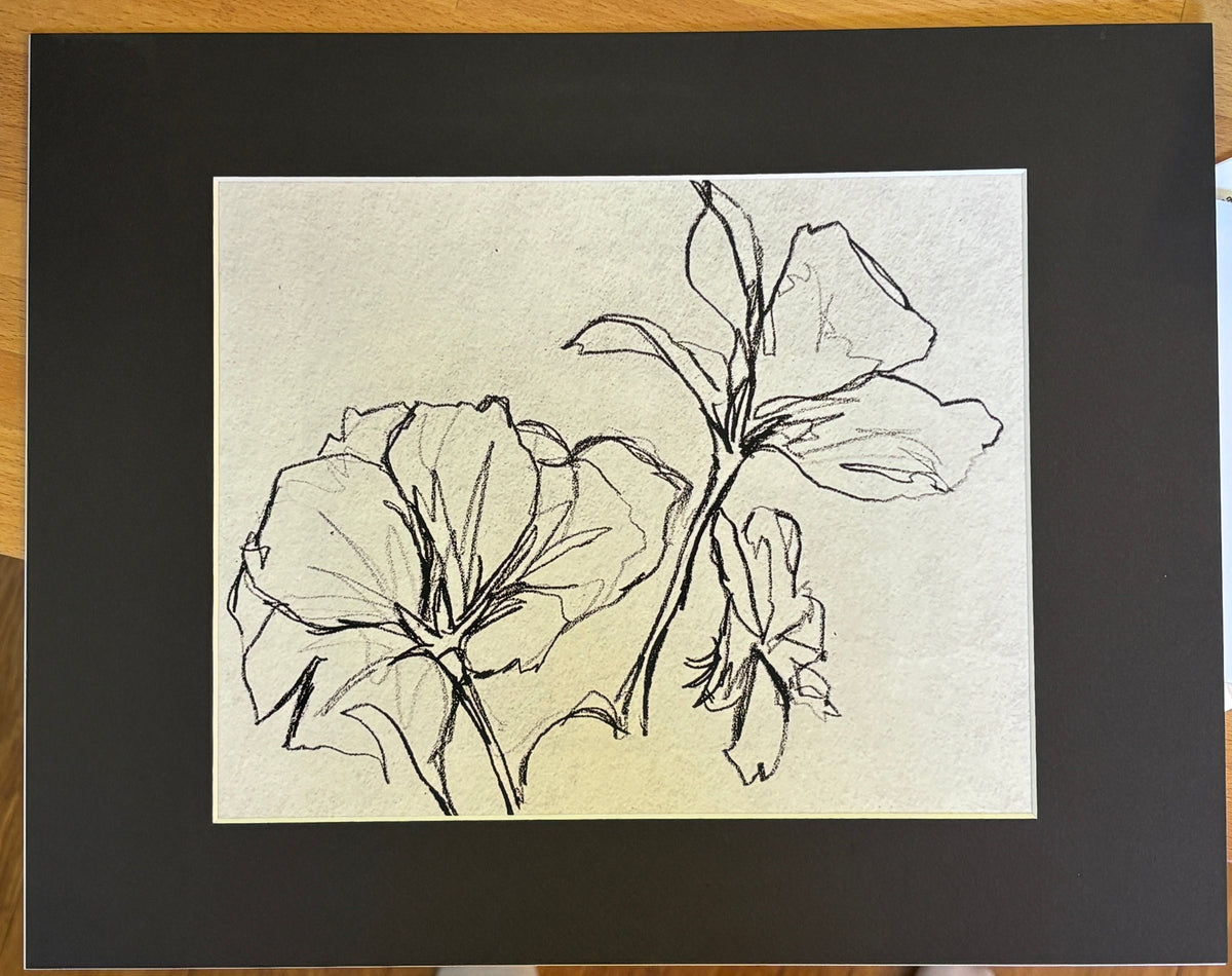 Art and Photographic Prints