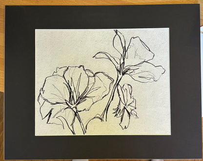 Art and Photographic Prints