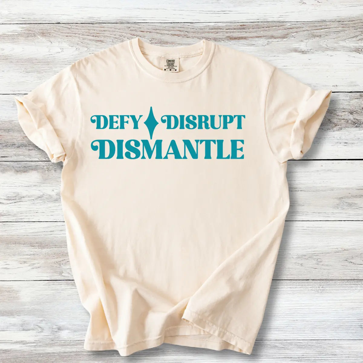 Defy Disrupt Dismantle Shirt, Minimalist Activist Tee
