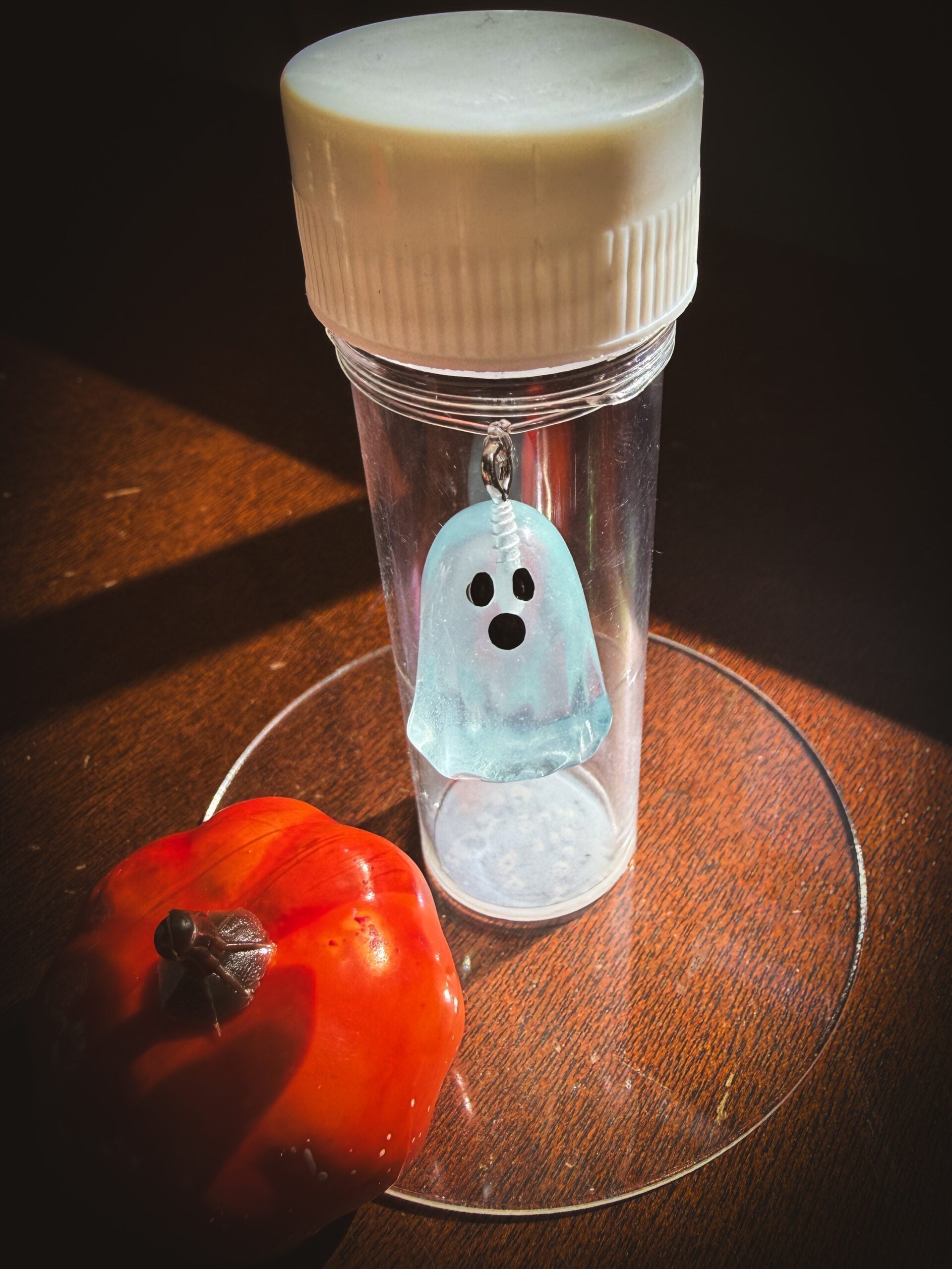 Kids Propagation Kit - Glow in the Dark Ghosts