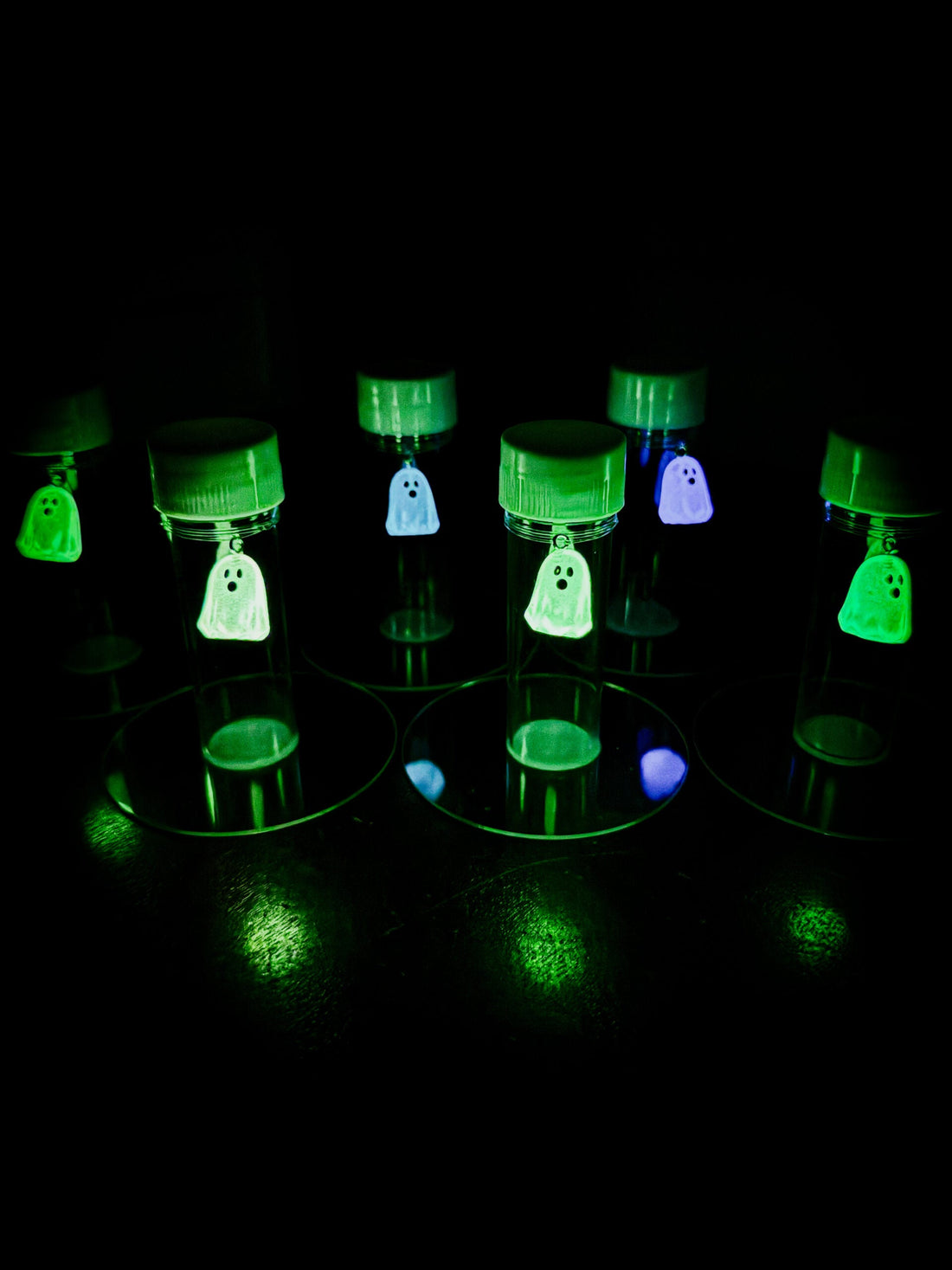Kids Propagation Kit - Glow in the Dark Ghosts