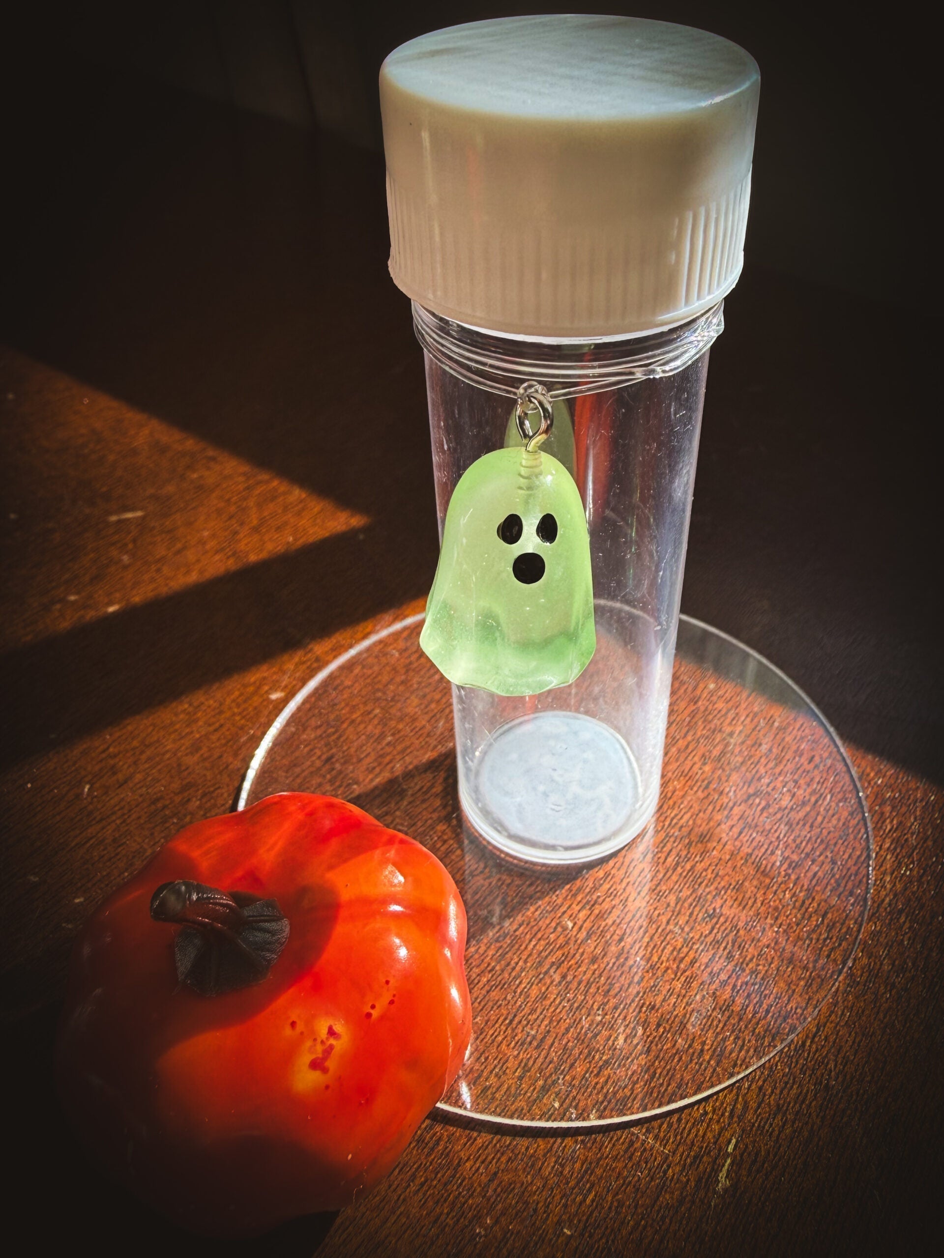 Kids Propagation Kit - Glow in the Dark Ghosts