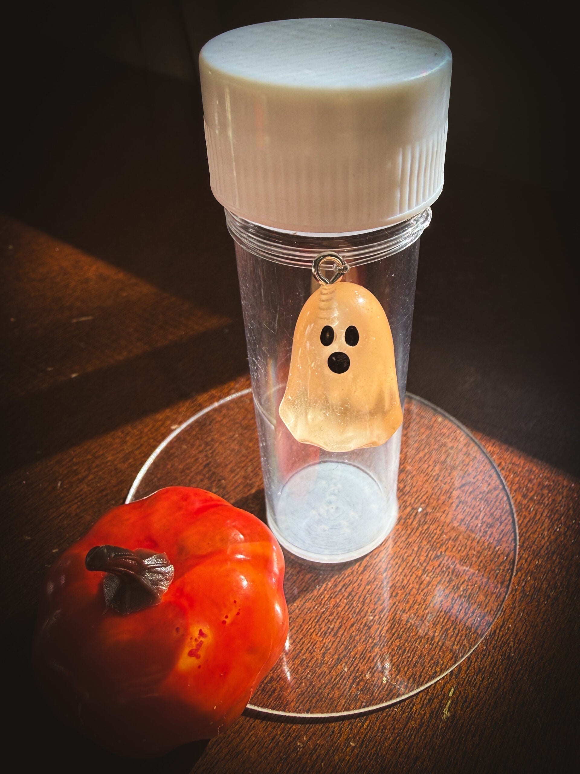 Kids Propagation Kit - Glow in the Dark Ghosts