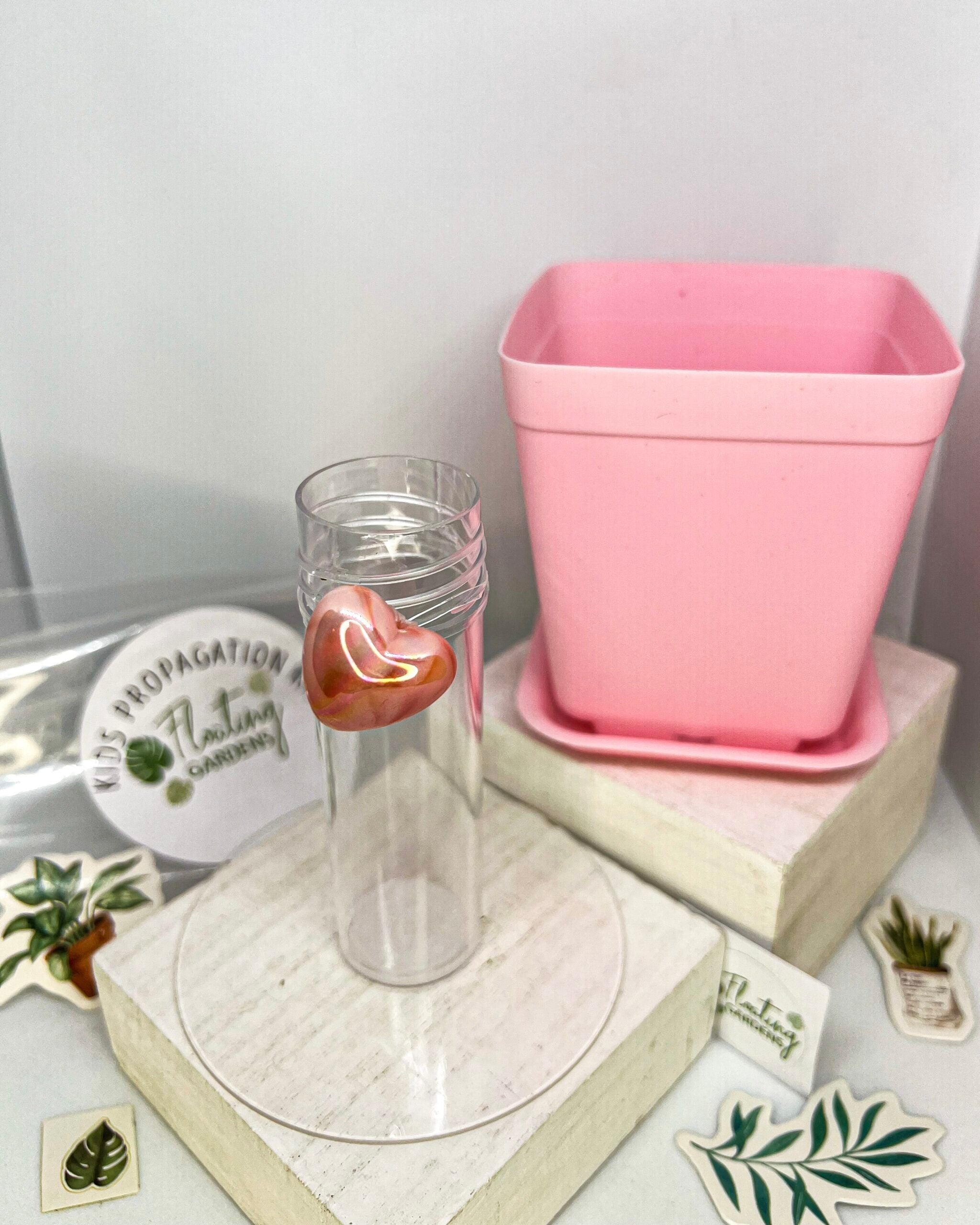 Kids Propagation Kit - Hearts