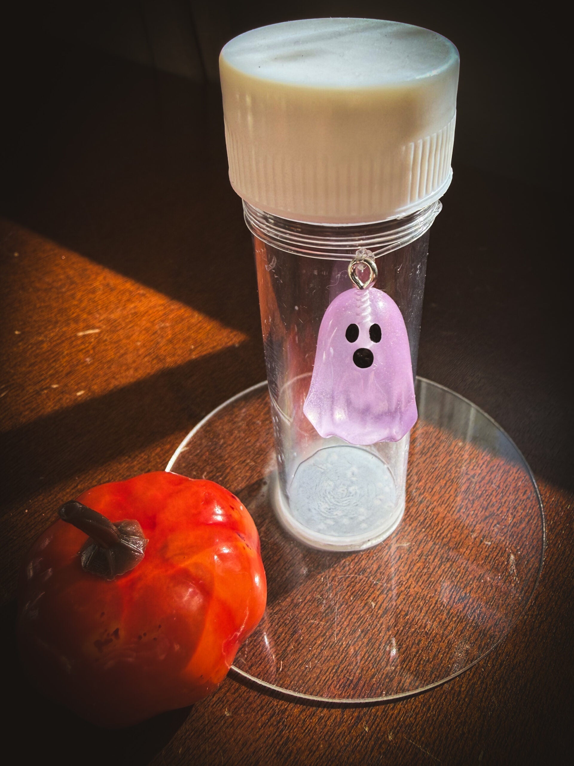 Kids Propagation Kit - Glow in the Dark Ghosts