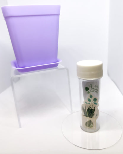 Kids Propagation Kit - Original