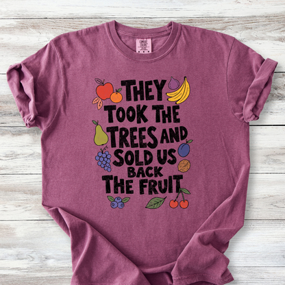 Political Protest Tshirt, The Took the Trees and Sold Us Back the Fruit Shirt
