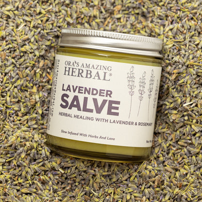 Lavender Salve 4oz Lifestyle Indoor on Top of Herbs