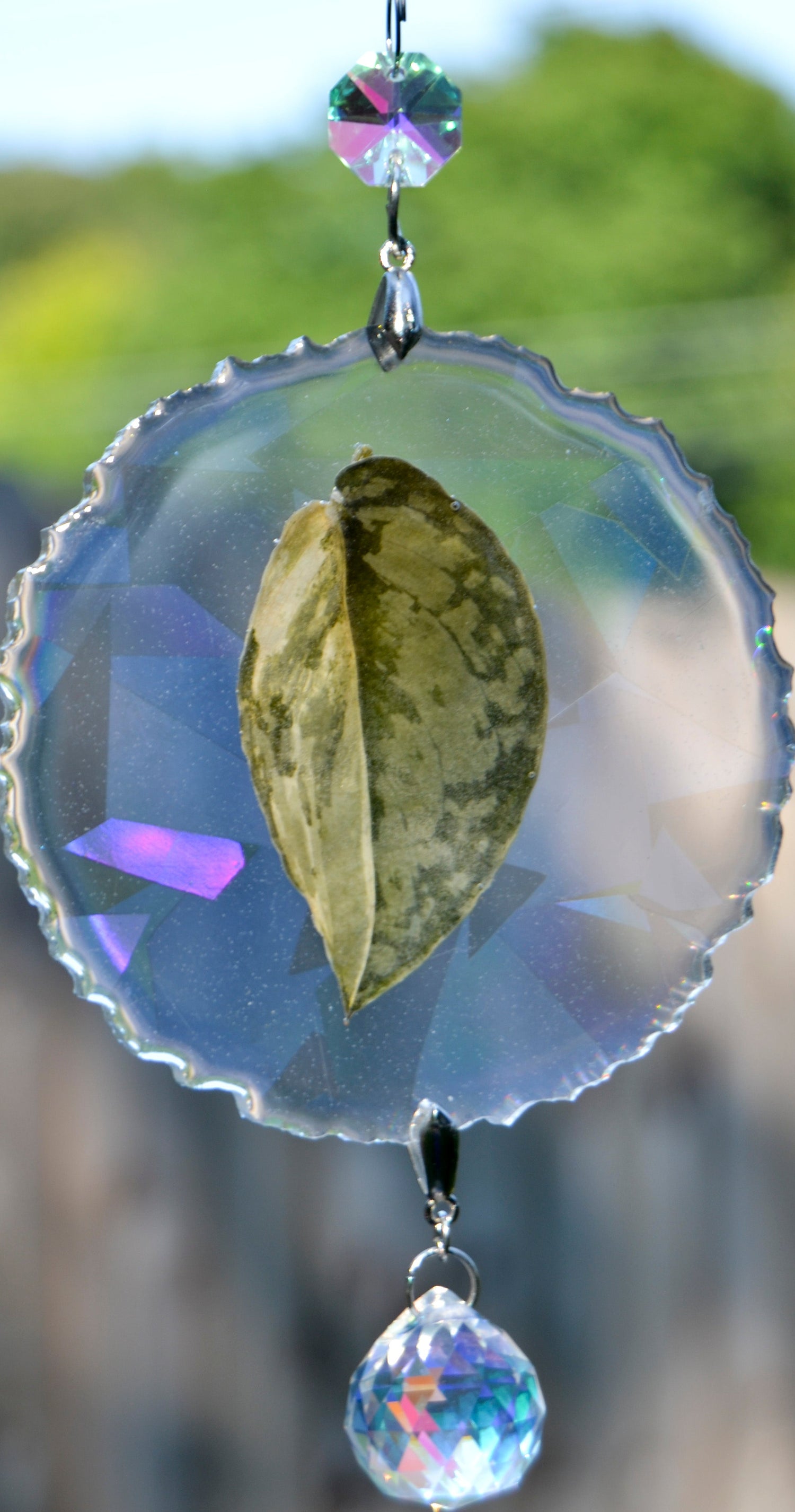 Leaf Suncatcher - Holo S. Exotica Albo 