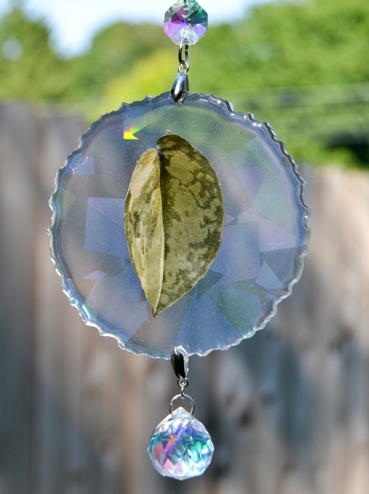Leaf Suncatcher - Holo S. Exotica Albo 