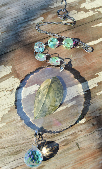Leaf Suncatcher - Holo S. Exotica Albo 