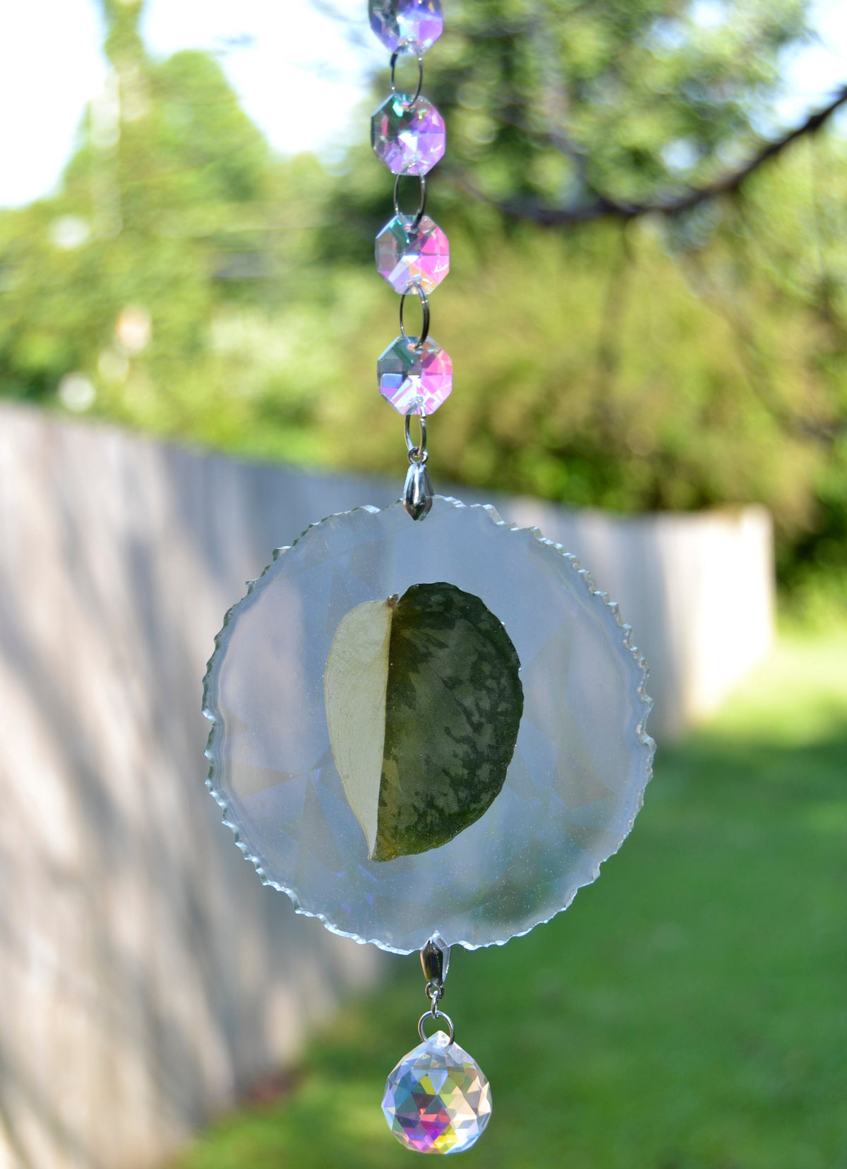 Leaf Suncatcher - Holo S. Blue Albo 