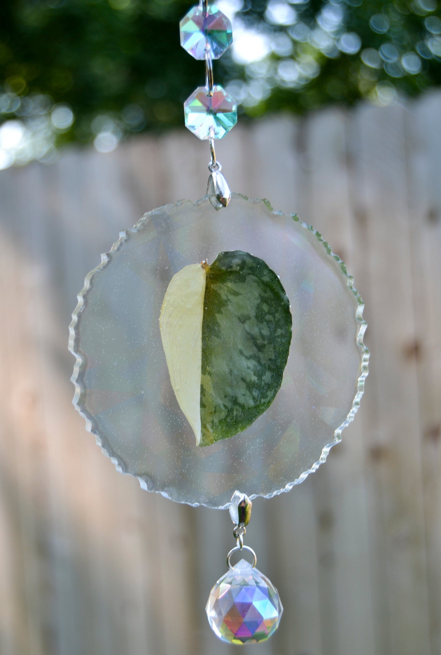 Leaf Suncatcher - Holo S. Blue Albo 