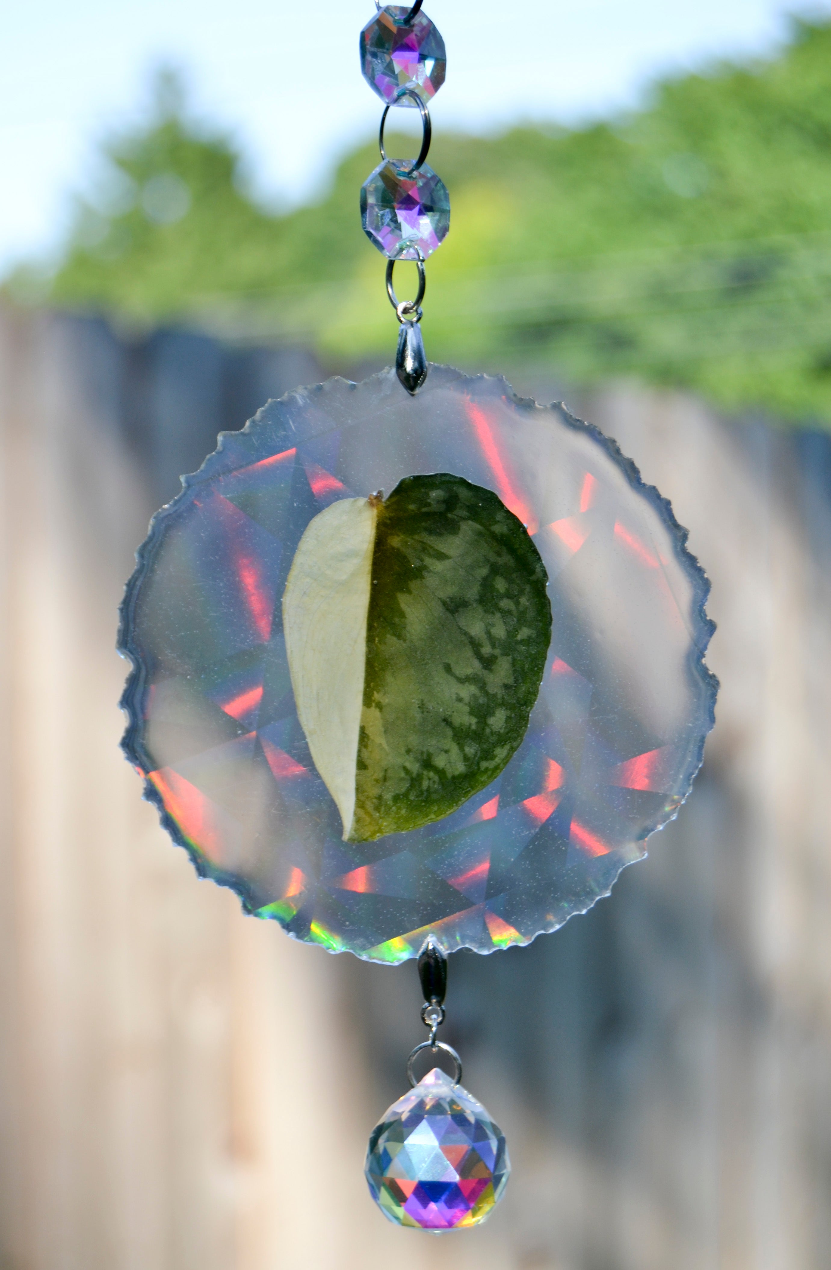 Leaf Suncatcher - Holo S. Blue Albo 
