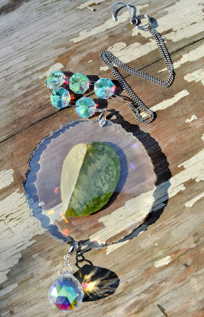 Leaf Suncatcher - Holo S. Blue Albo 