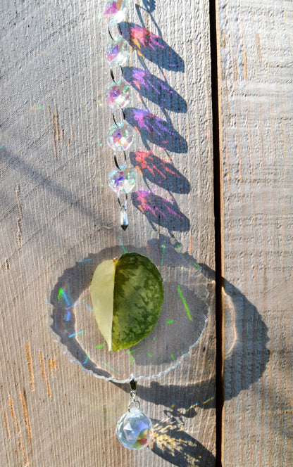 Leaf Suncatcher - Holo S. Blue Albo 