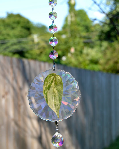 Leaf Suncatcher - Holo S. White Diamond 
