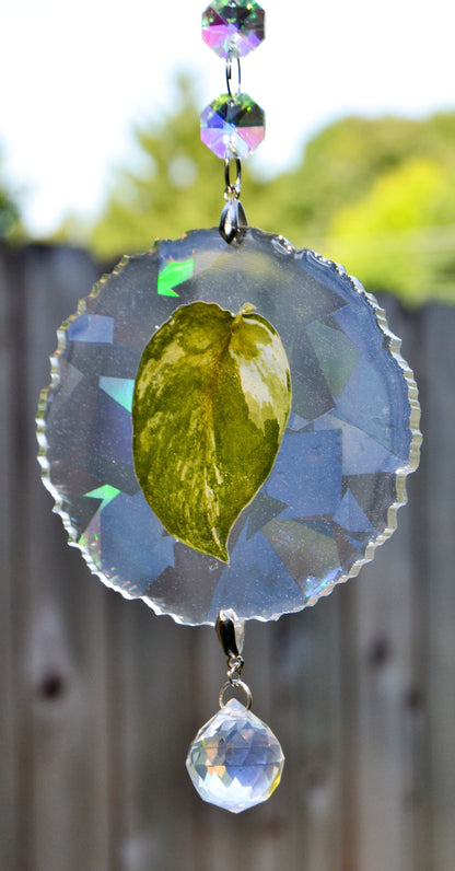 Leaf Suncatcher - Holo S. White Diamond 