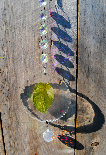 Leaf Suncatcher - Holo S. White Diamond 