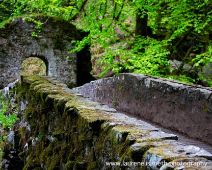 Ivy-Covered Stone Bridge, Perthshire Highlands Landscape Mini Metal Print