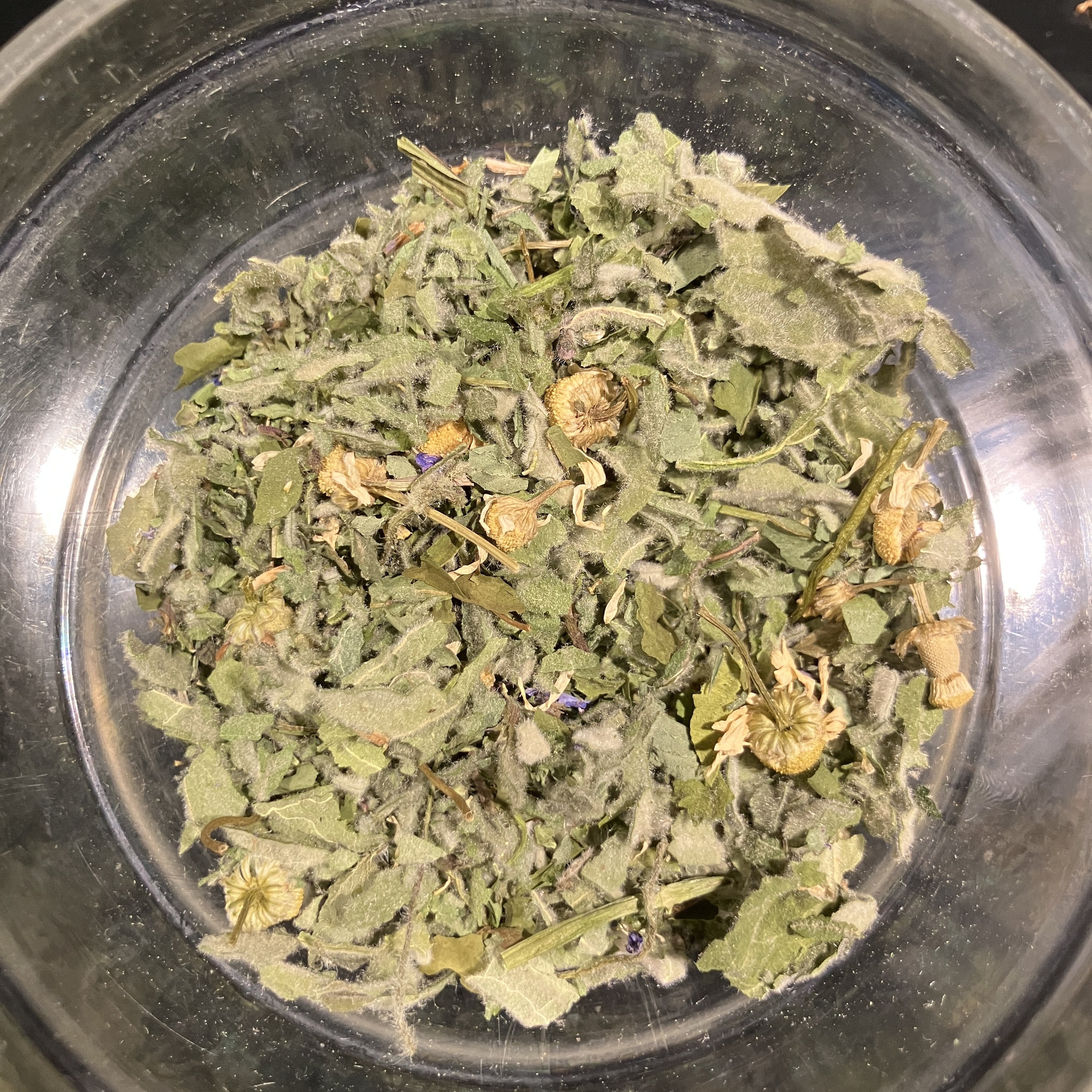 Lush Lungs