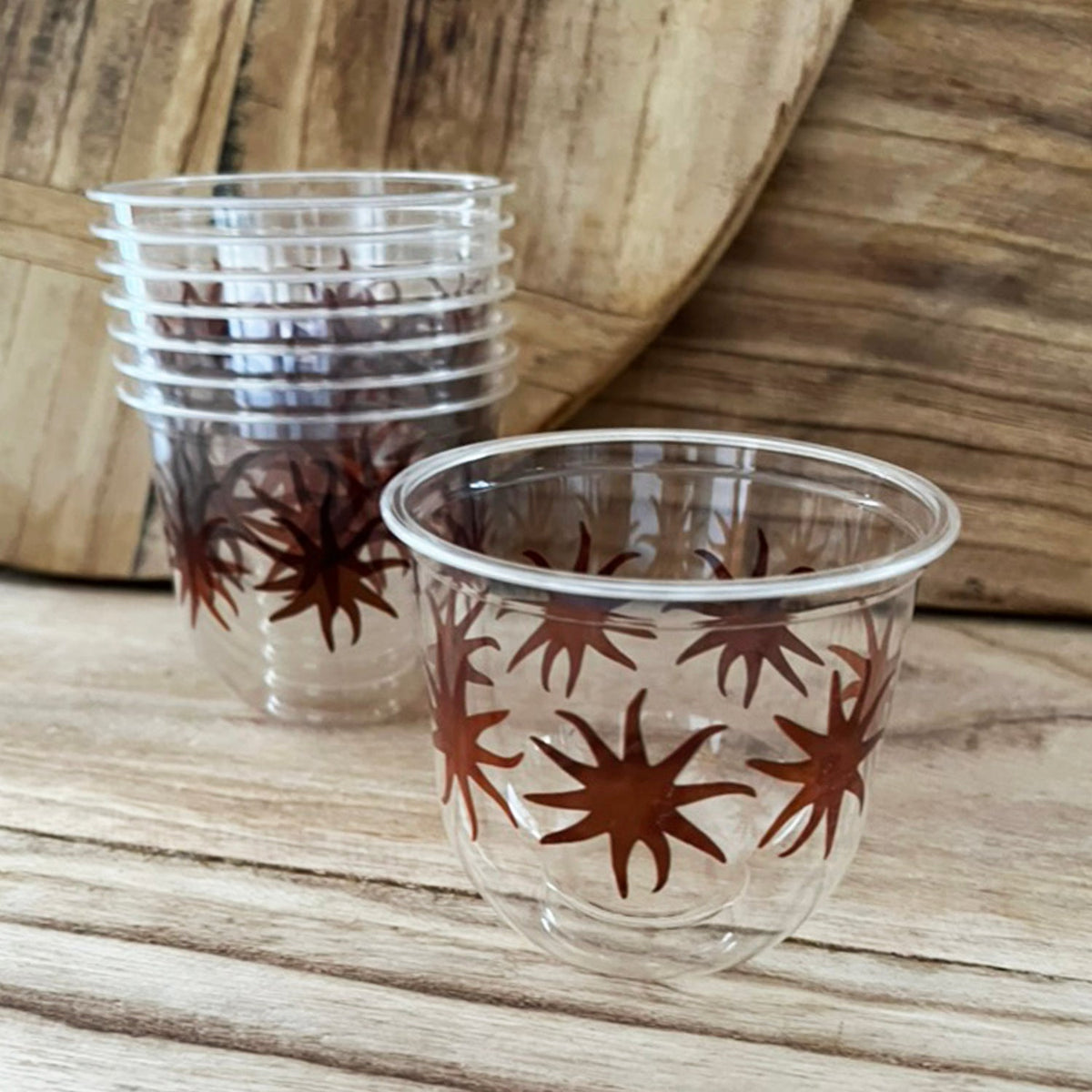 maaterra compostable cold beverage cup with maaterra sun design