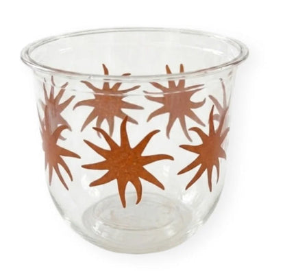 maaterra compostable cold beverage cup with maaterra sun design