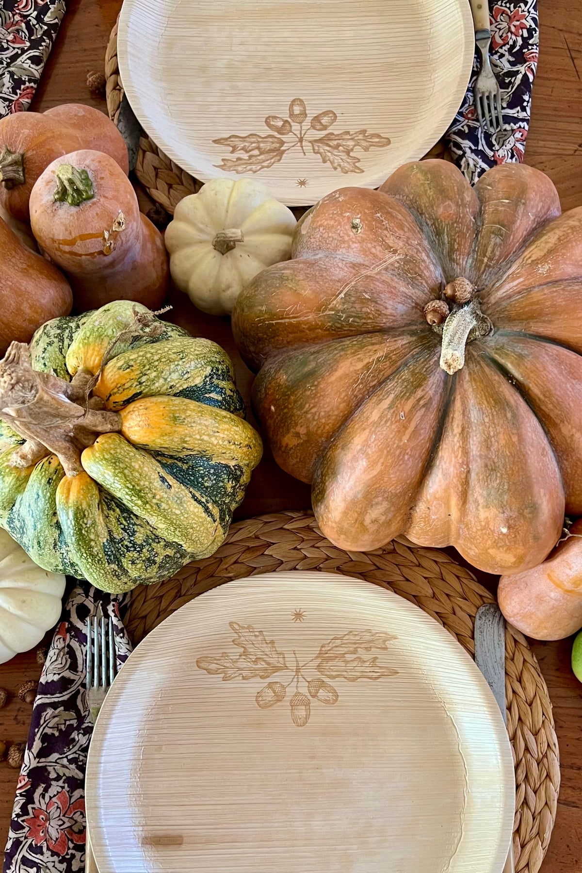 maaterra compostable plates with acorn design on a fall themed table including pumpkins. 
