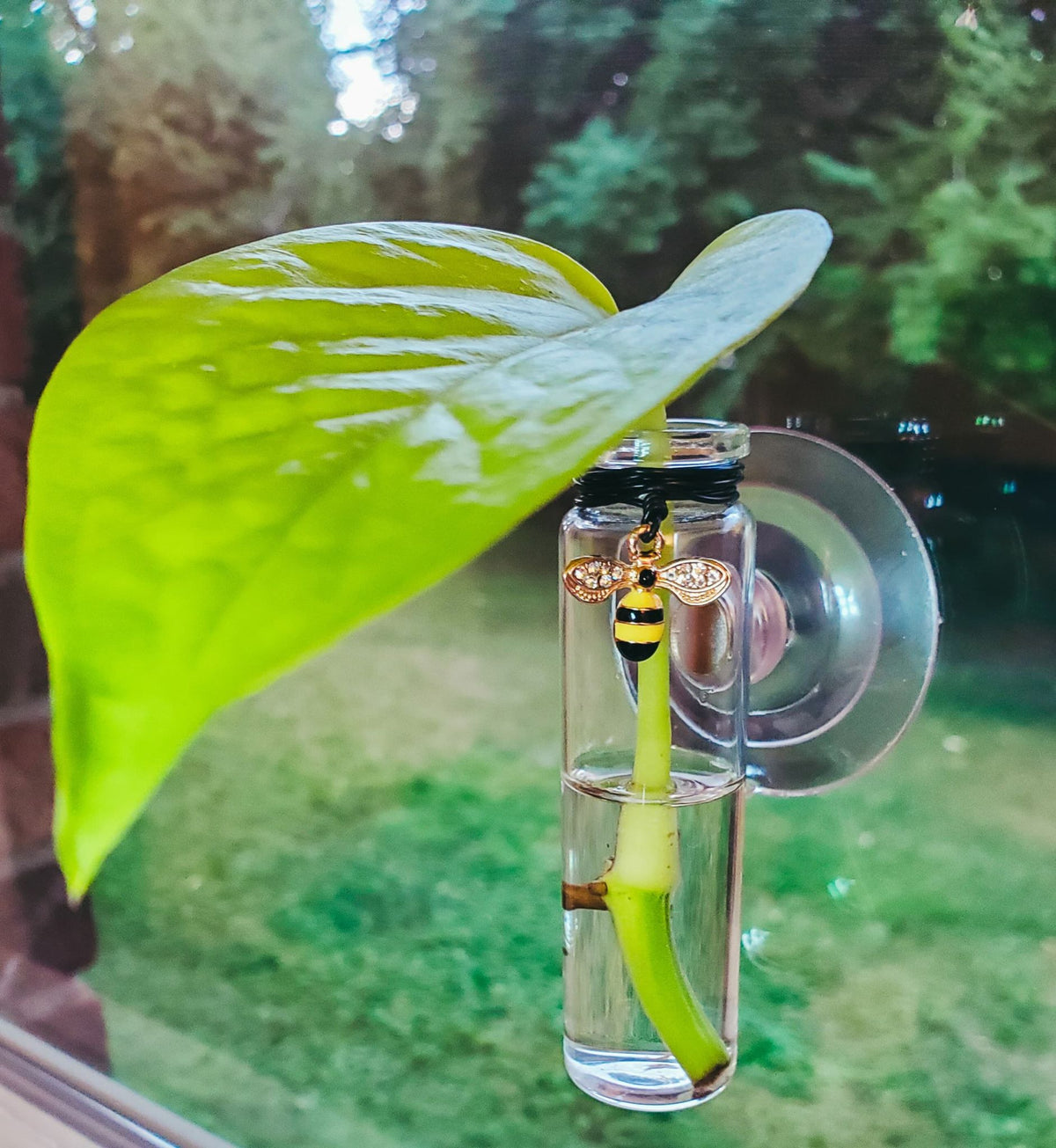 Prop Station - Bee