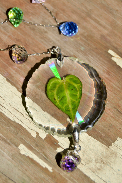 Mini Leaf Suncatcher - Holo A. KOS x RC