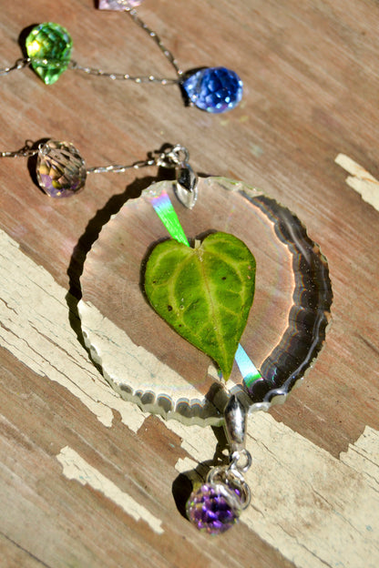 Mini Leaf Suncatcher - Holo A. KOS x RC