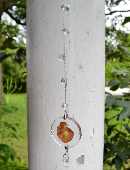 Mini Leaf Suncatcher - Holo Begonia