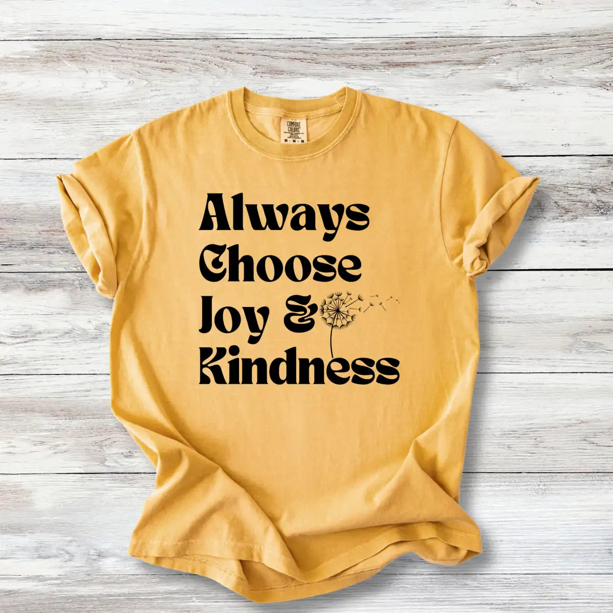 Always Choose Joy &amp; Kindness T-Shirt | Positive Progressive Affirmation Tee