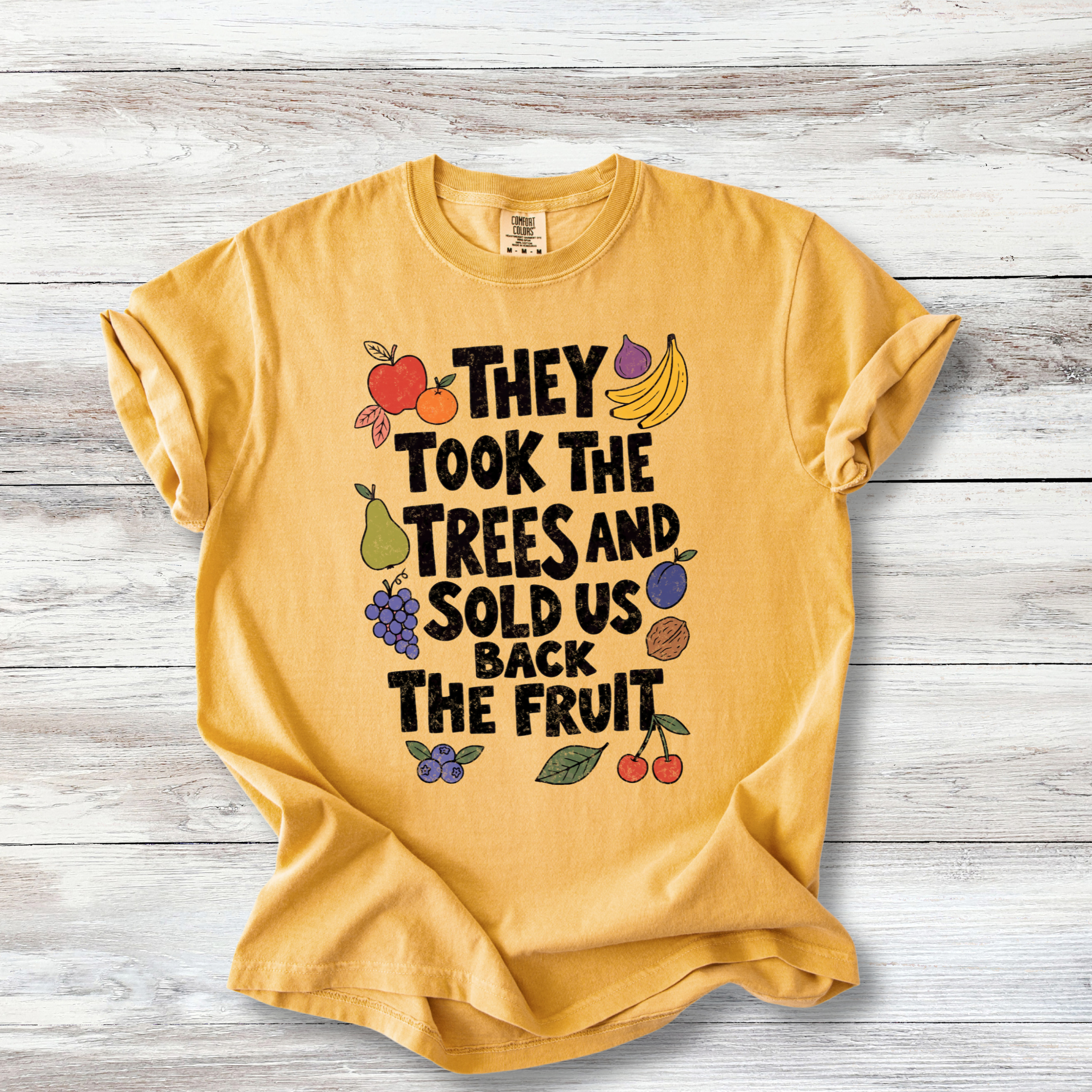 Political Protest Tshirt, The Took the Trees and Sold Us Back the Fruit Shirt