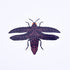 A sticker of a purple open-winged beetle with a floral and garden-themed design.
