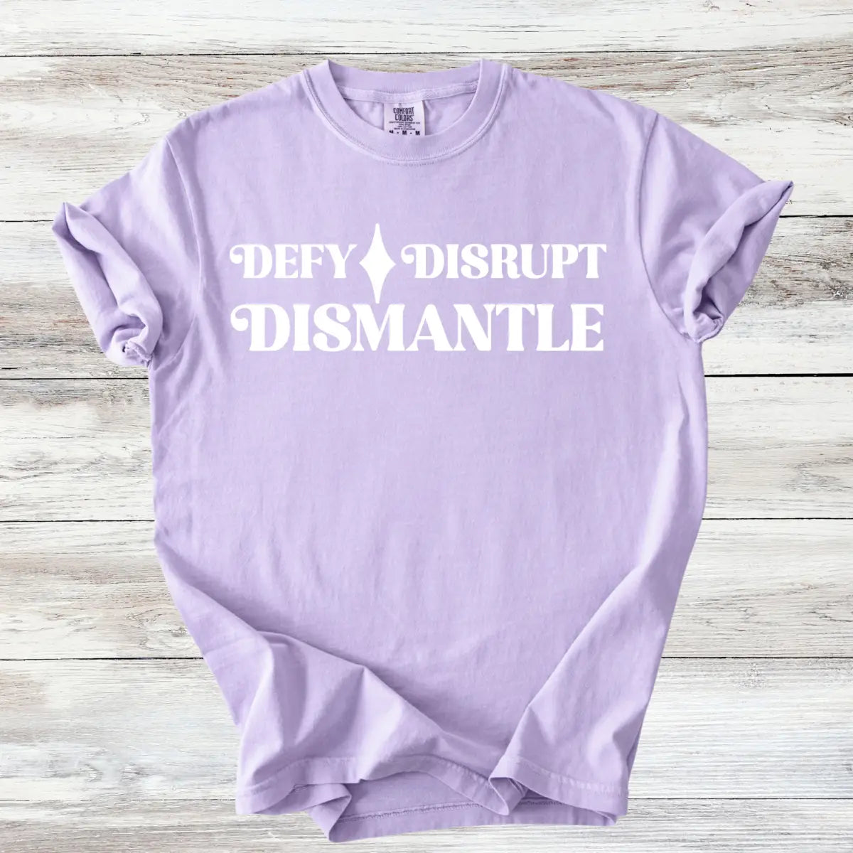 Defy Disrupt Dismantle Shirt, Minimalist Activist Tee