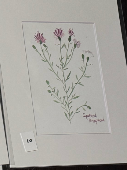 watercolor art prints - clearance