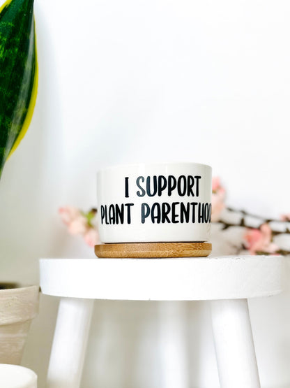 Funny, Cute and Sarcastic Mini Planters, Indoor Succulent Planters