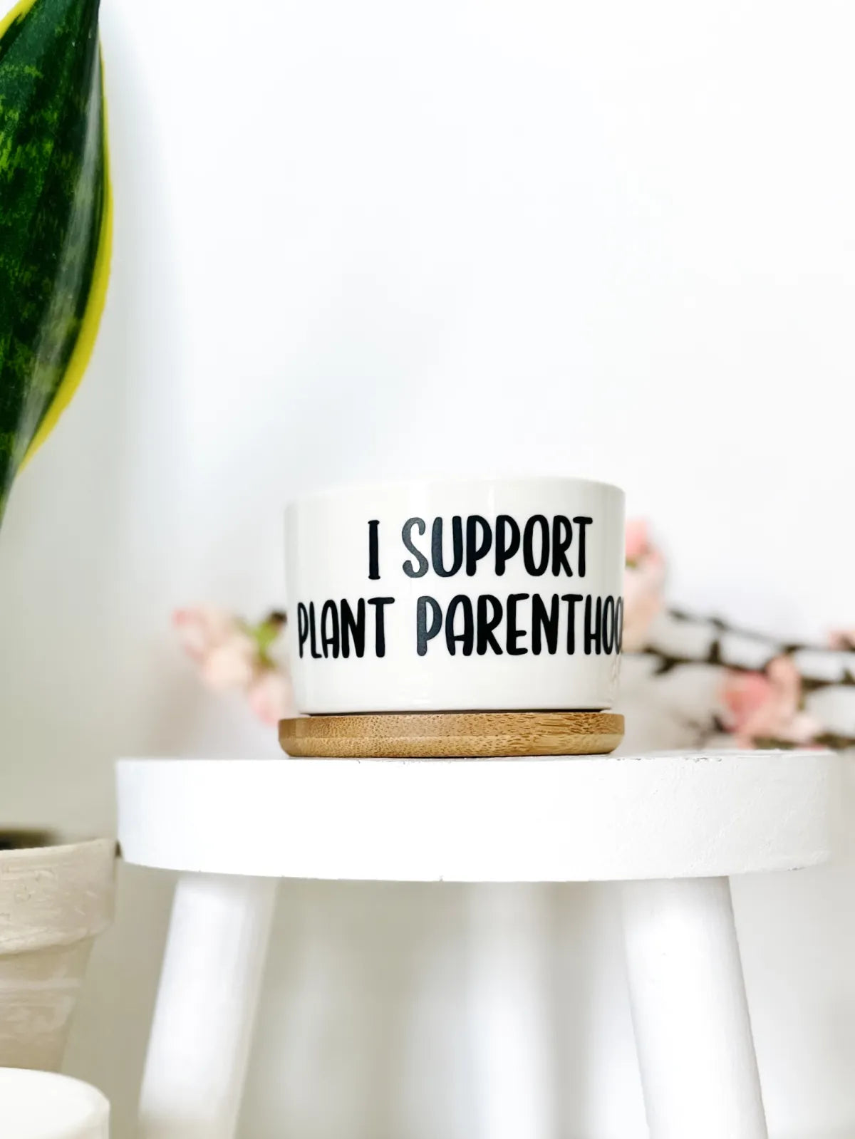 Funny, Cute and Sarcastic Mini Planters, Indoor Succulent Planters