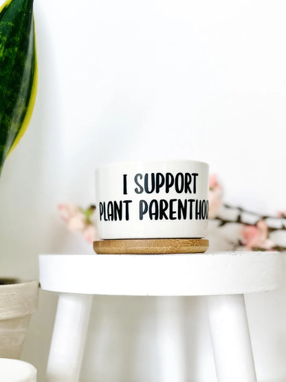 Funny, Cute and Sarcastic Mini Planters, Indoor Succulent Planters