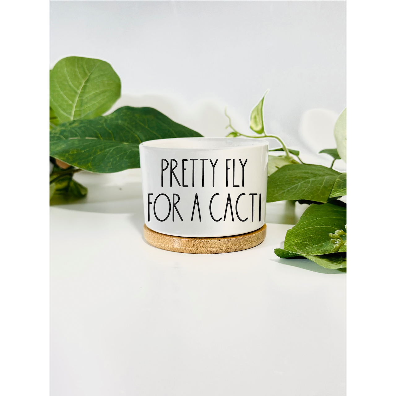 Funny, Cute and Sarcastic Mini Planters, Indoor Succulent Planters