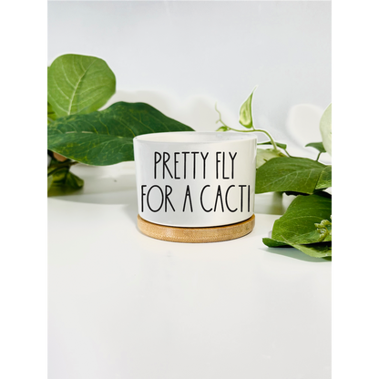 Funny, Cute and Sarcastic Mini Planters, Indoor Succulent Planters