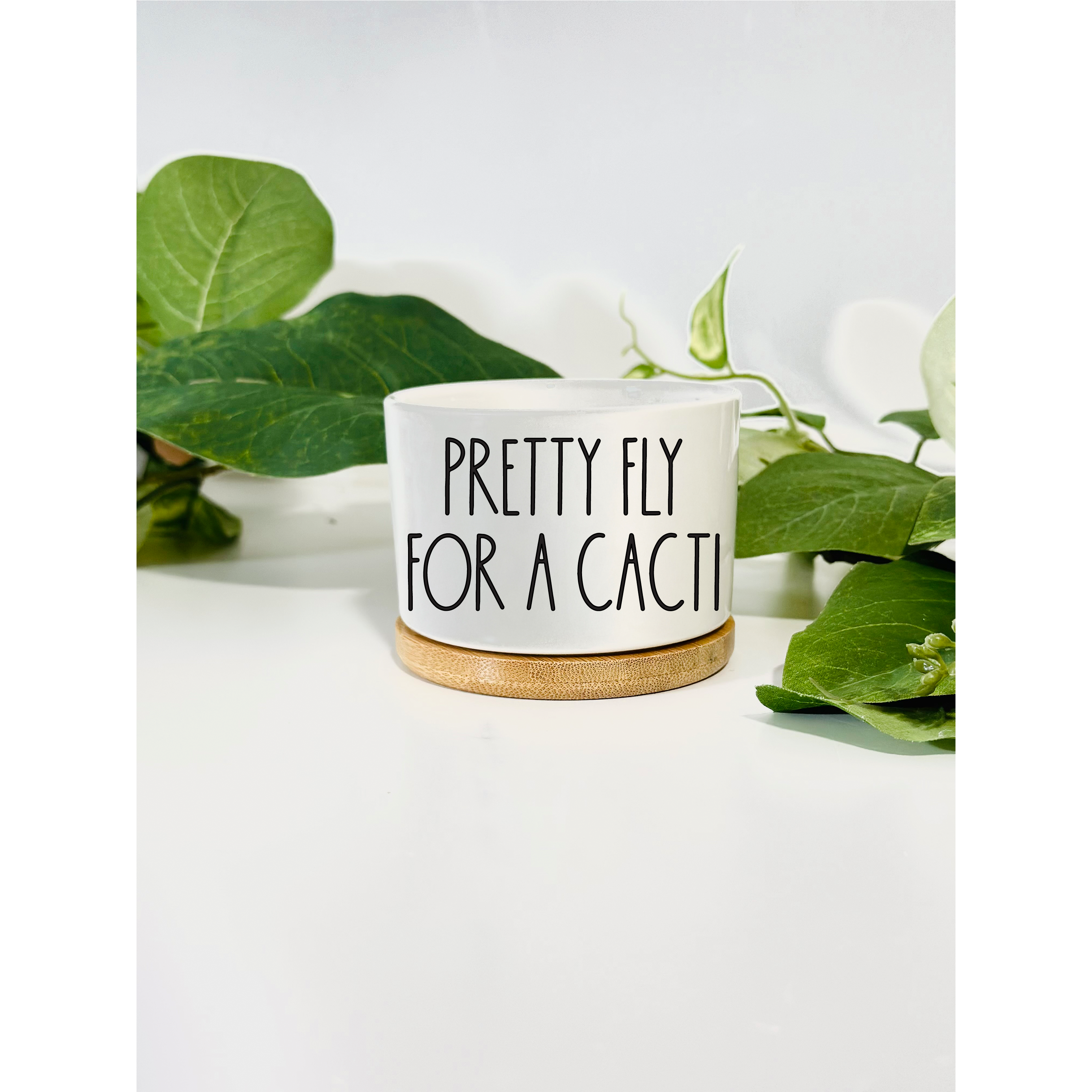 Funny, Cute and Sarcastic Mini Planters