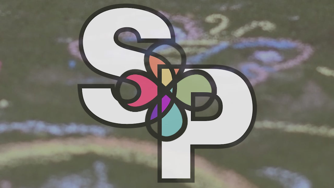 videoSoPhancyPromo.mp4