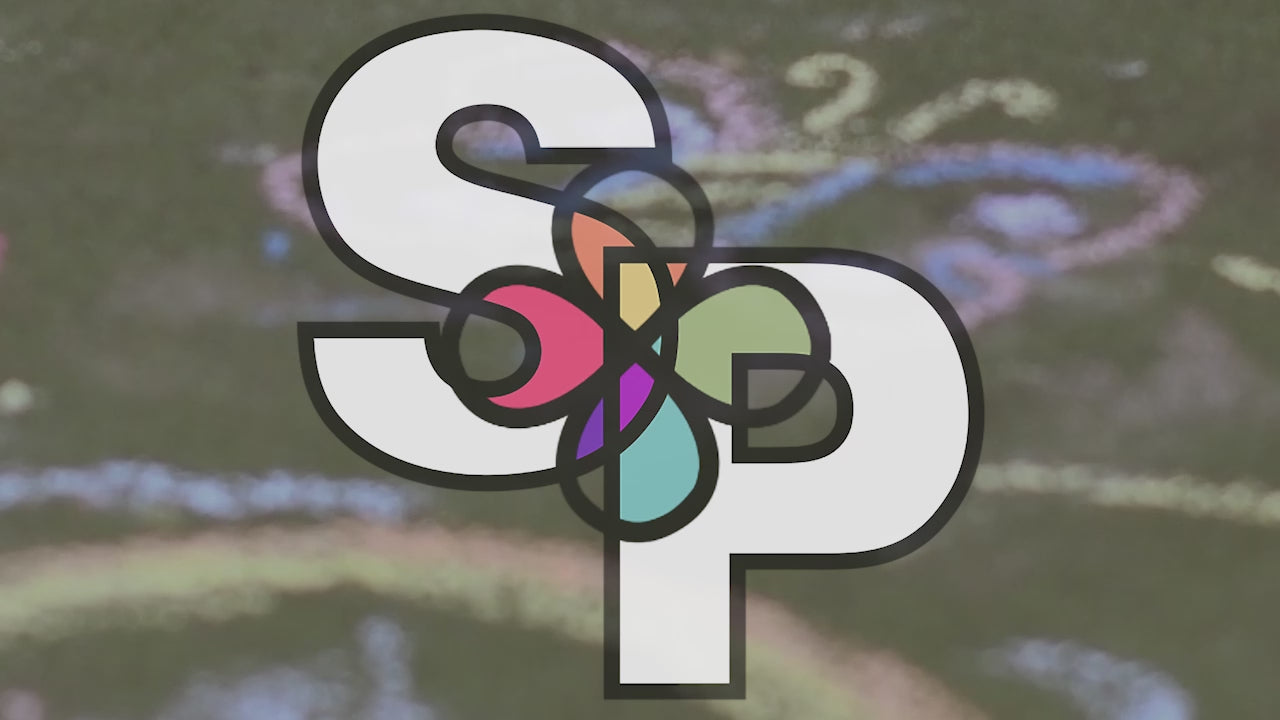 videoSoPhancyPromo.mp4