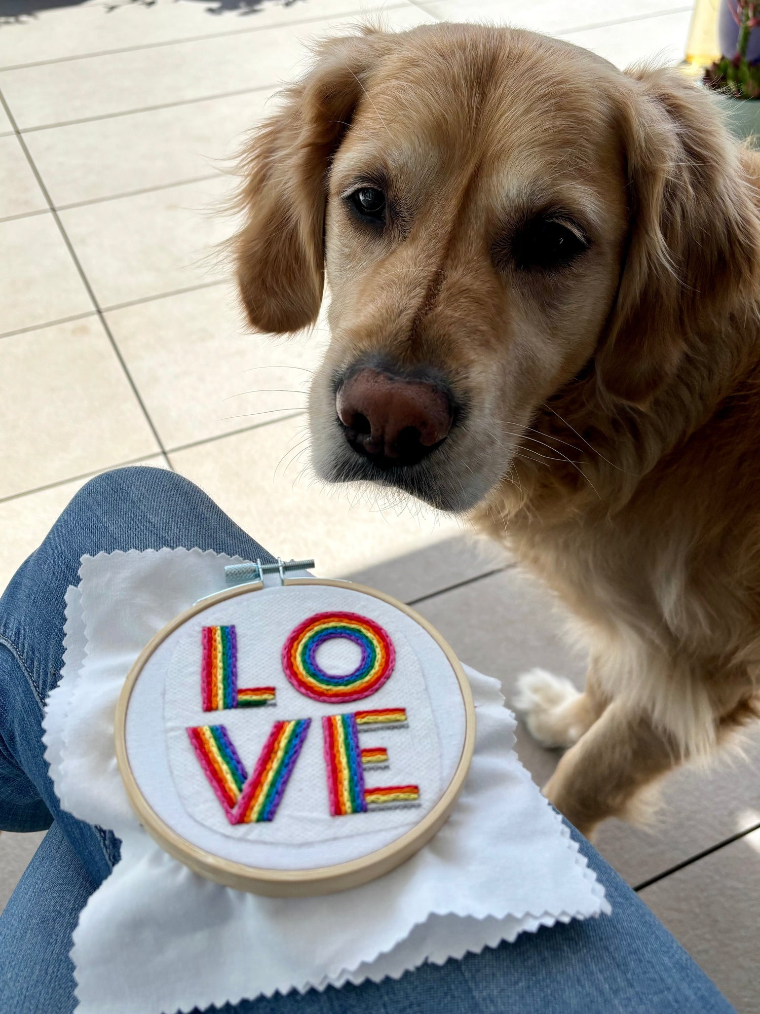 Photo of this embroidery project in my lap with my golden retriever dog looking on. The word "love" is hand embroidered on two lines, in a square, in all capital letters. Each letter is stitched in stripes of rainbow colors: pink, red, orange, yellow, green, blue, purple. Text is sewn on white cotton. Framed as wall art in light wood embroidery hoop.