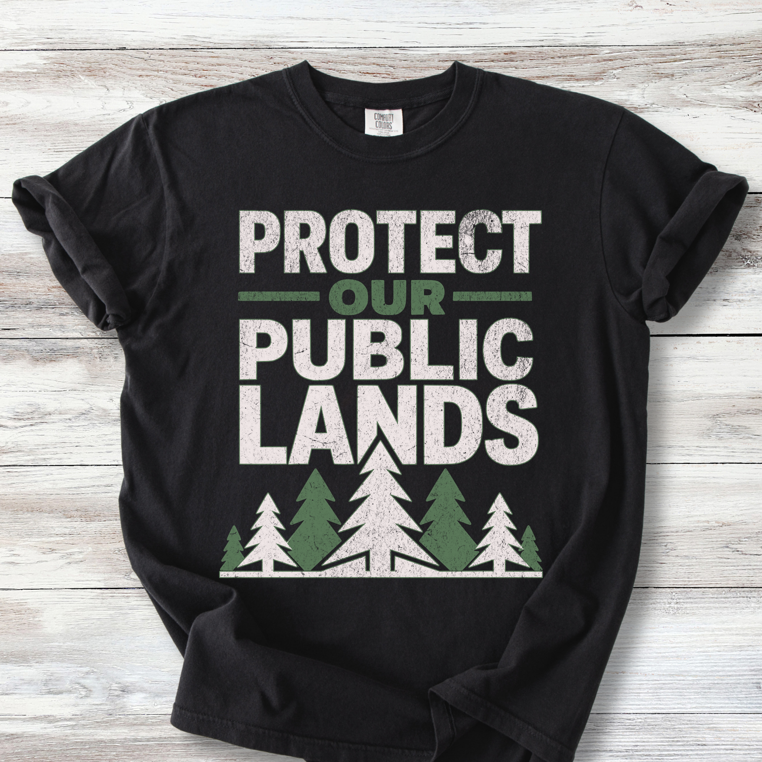 Protect Our Public Lands Tee , Vintage Conservation Shirt for Hikers &amp; Park Defenders